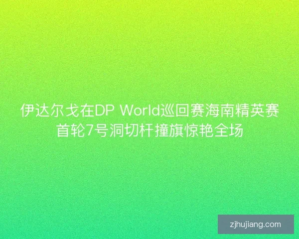伊达尔戈在DP World巡回赛海南精英赛首轮7号洞切杆撞旗惊艳全场 伊达尔戈在DP World巡回赛海南精英赛首轮7号洞切杆撞旗惊艳全场